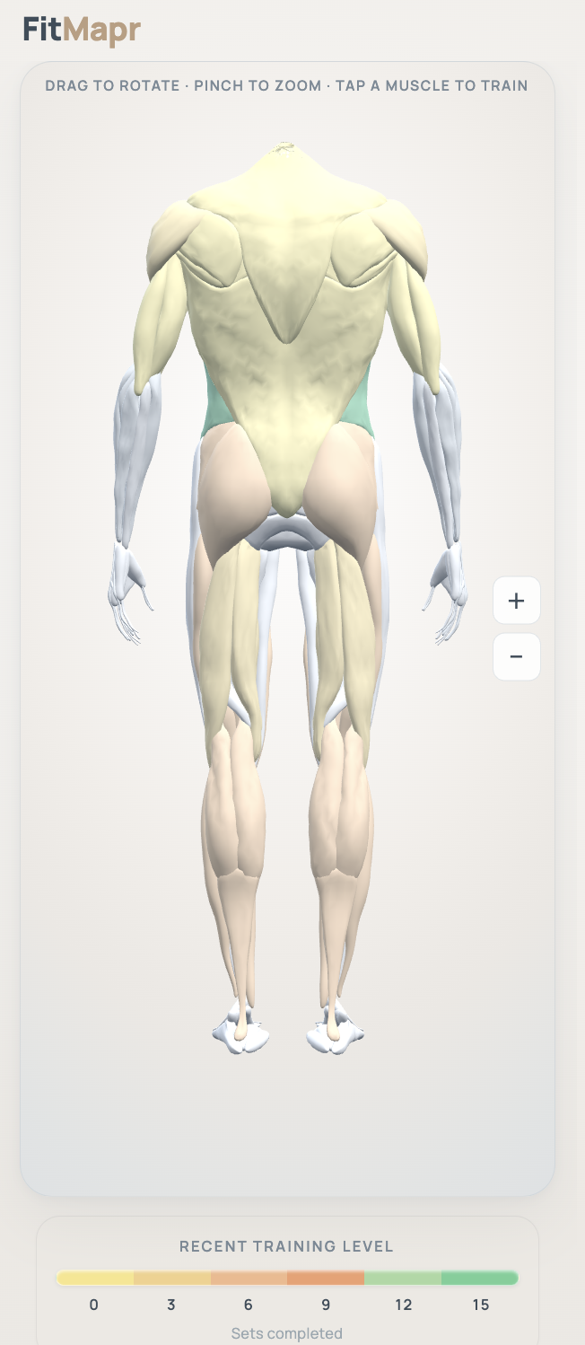 Back FitMapr body map with the 0 to 15 scale