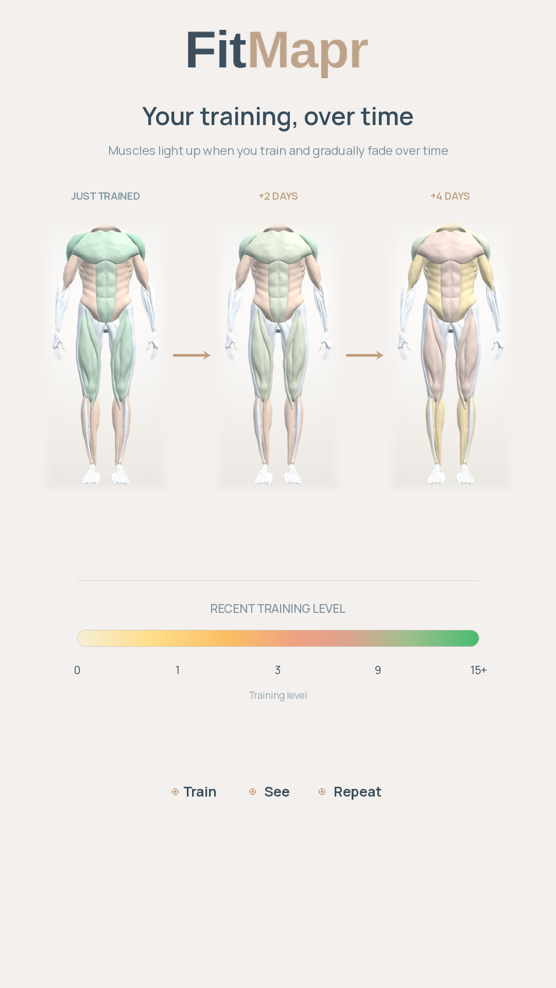 FitMapr showing training fading over time